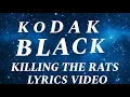 Kodak Black - Killing The Rats Lyrics Video