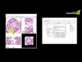 Voloom Tutorial - Separating Stainings Using Color Deconvolution