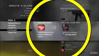 Best in Class - Modern Warfare 2 Build the Best Stealth Class