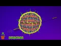 Slightly Stoopid | Anywhere I Go | BEST QUALITY | LYRICS KARAOKE VIDEO