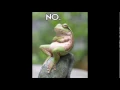 Rude Dude GIF