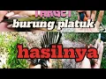 Download Lagu Rejeki tak kemana