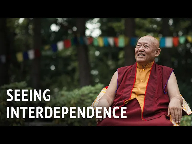 Seeing Interdependence | Drikung Chetsang Rinpoche