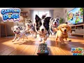 The Cartoon For Dogs You Need Keep your little puppies happy and entertained at home Dog TV