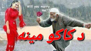 د کاکو مینه ۲۰۲۱ 