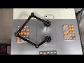 Pentagon Robot Five-bar robot Parallel linking to lead end-effector SHOW top view