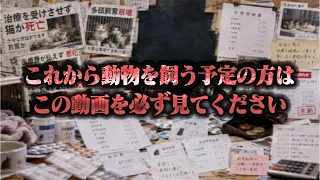 【注意喚起】これから動物を飼おうとしてる方はこの動画を見てください...そしてこの動画を拡散してください。