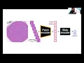 Download Lagu Tools and Technology Seminar 10/17/2024 - Cheng Jiang and Renly Hou