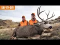 We Found THE ONE Colorado Deer with Randy and Matthew Newberg Ep 2