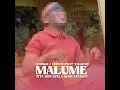 Malume (Nta Swi Byela Mani Revisit) (feat. TallexQ) - Elvirgo & Chicco
