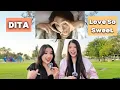 dita ‘love so sweet’ Official MV (Reaction Video)
