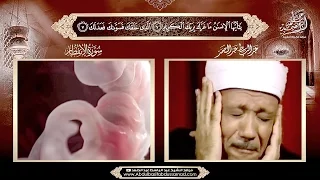 ي ا أ ي ه ا ال إ نس ان م ا غ ر ك ب ر ب ك ال ك ر يم  ي ا أ ي ه ا ال إ نس ان م ا غ ر ك ب ر ب ك ال ك ر يم