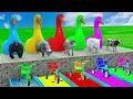 Download Lagu 5 Giant Duck Game,Super Mario ,Tiger, Cow,Lion,Paint Wild Animals Crossing Fountain Animation