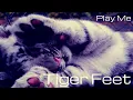 Mud - Tiger Feet
