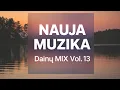Lagu Lietuviškos dainos 2025 🔥 Gyvas vakaro skambesys | Vol. 13