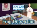 Frog Dissection - VXRLabs Module Walkthrough