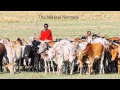 Nomadic Herding