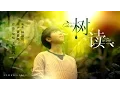Download Lagu 【TFBOYS 王俊凯】飯製 王俊凱樹讀MV【Karry Wang Junkai】