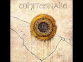 Download Lagu Whitesnake - Still Of The Night