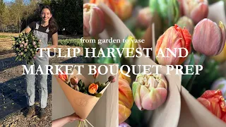 TULIP HARVEST AND BOUQUET PREP local tulips from garden to vase