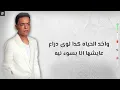 طارق الشيخ - ماشى شمال (نفسى ومفيش حاجة قبليها ) Tarek El Sheikh -Mashy Shemal Official lyrics video