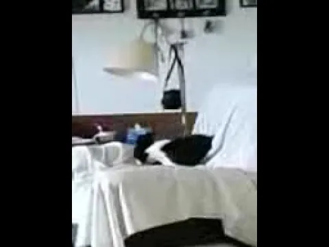 Bella is fixing her bed