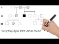 Pedigree Charts Short Simple Science