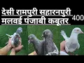 Download Lagu [20/08/25 ] Chatri Ke Punjabi 400 All India Parsal 