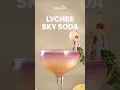 MONIN How-To Lychee Sky Soda