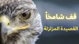 قصيدة قف شامخا مثل المآذن طولا كاملة  قصيدة قف شامخا مثل المآذن طولا كاملة