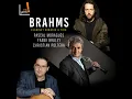 Clarinet Sonata No. 2 in E-Flat Major, Op. 120 No. 2: I. Allegro amabile