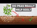 Do Beans and Peas Really Add Nitrogen to Soil