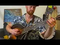 Once Around The Sun - Mandocello