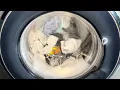 Samsung - Daily Wash 60 Stain Bubble Soak Whites The