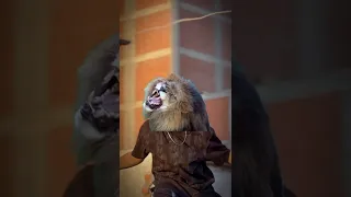 اخطر عنتيل عضو اساسي في كذا تشكيل 