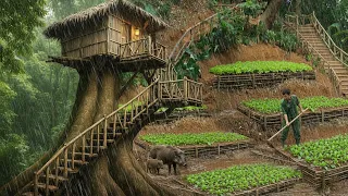 Solo Survival In The Rainforest Building A Tree Shelter From Natural Wood Finding Food 