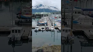 ​ @Cruisinglealea  Low Tide morning in Petersburg Alaska’s North Harbor #shorts