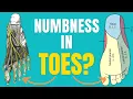Download Lagu 5 Causes Of Numbness In Toes \u0026 How To Treat Numbness In Toes