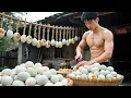 Download Lagu Unveiling Century Eggs: Tracing China's Unique Preserved Delicacy from Ming Dynasty Origins!