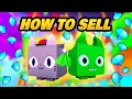 Guide to Selling Pricing Pets Items in Pet Sim 99