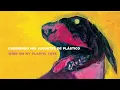 Iron & Wine - Flightless Bird, American Mouth  [LYRIC VIDEO Spanish/English] Subtitulado Español