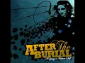 A Steady Decline - After the Burial