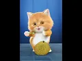 Download Lagu Phiên bản dudi dam#funny #funnycat #babydancing #funnydance #dancingcat  #dudidam #dudidudidamdam