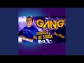 Download Lagu Forrozeiro Alucinado - GANG DO FORRÓ