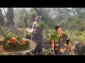 Download Lagu PETIK SAYUR DI KEBUN LANJUT ⁉️TUMIS SAYUR LECAK \