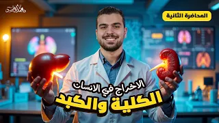 المحاضرة الثانية تانية ثانوي تابع الإخراج في الإنسان الكلية والكبد 