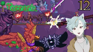 FIGHTING THE DEITY TO SAVE TERRARIA FROM CALAMITY