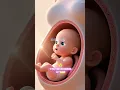 Download Lagu 👶🔦 My Brother is Hiding in Mom's WATERMELON Belly! Jake's Hilarious Pregnancy Discovery! #funny