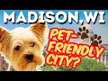 Moving to Madison WI How Pet Friendly is it