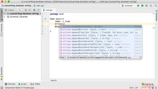 Hands-on with Go Converting Boolean to String packtpub com